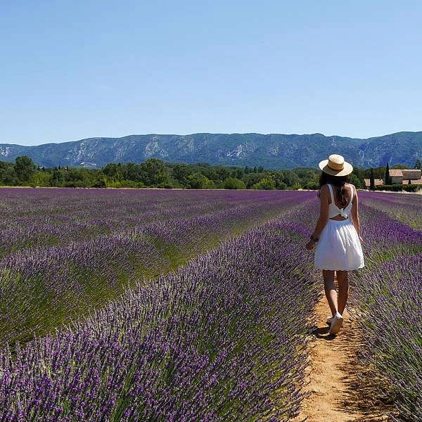 Office de Tourisme Destination Luberon