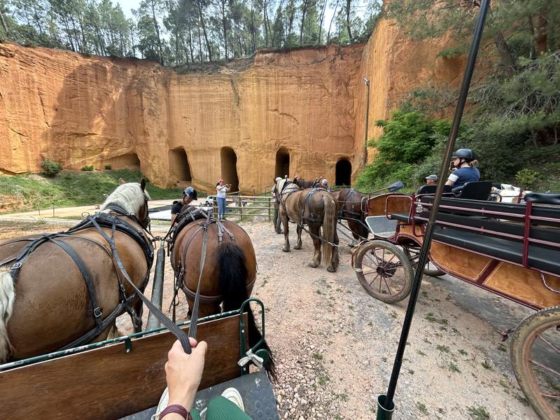 Carriage ride through the ochres with Provence Hipposervices Carriage ride with Provence Hipposervices in the heart of the Luberon ochres