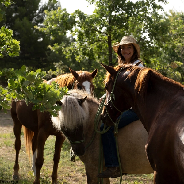 Ecurie des murmures - La relation Cheval-Humain au coeur du Luberon - EN