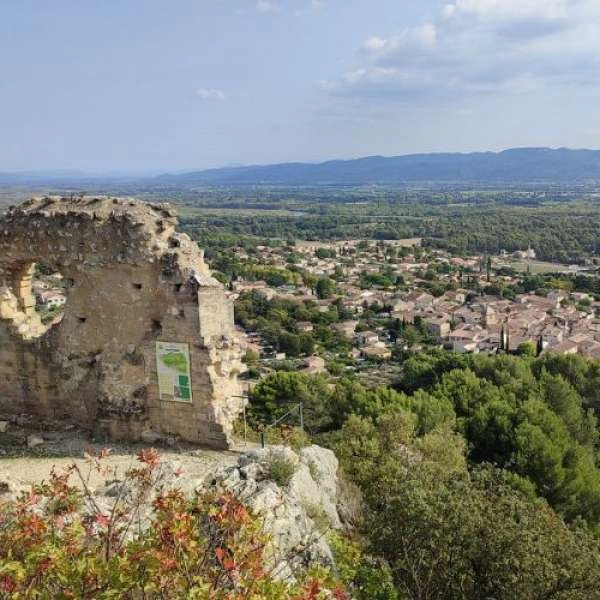 Circuit en pays vaudois et garrigue - EN