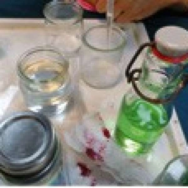 La Magie dans la Scienne - Atelier - EN