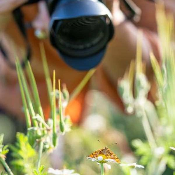 Nature Photography in Cabrières-d’Avignon