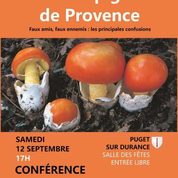 Mushrooms from Provence - Conference