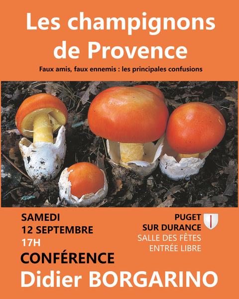 Mushrooms from Provence in Puget Conférence Mushrooms from Provence in Puget