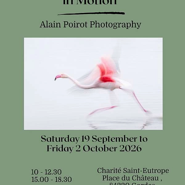 Exhibition Landscapes and wildlife in motion in Gordes