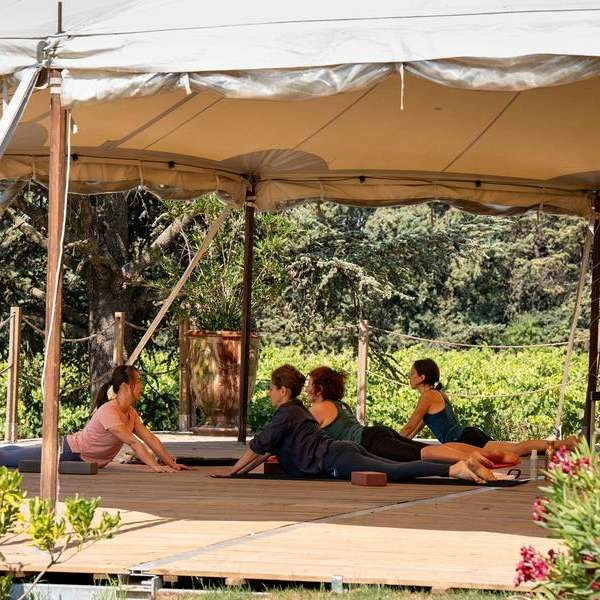Vignobles en Scène: yoga and picnic at a Luberon château
