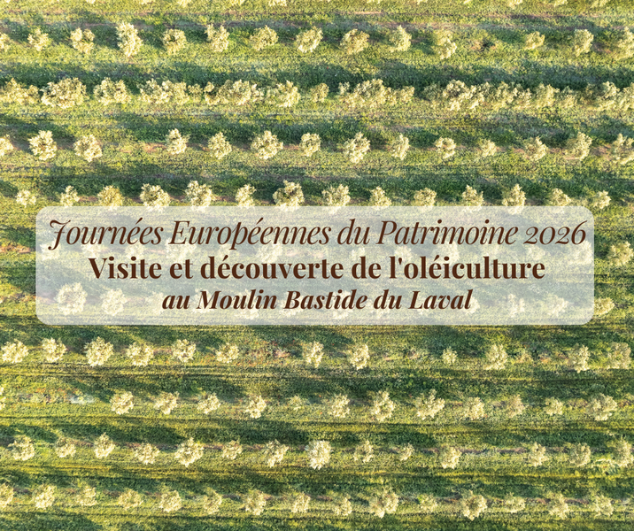 Olive grove of Moulin Bastide du Laval in Cadenet avec vue sur le massif du Luberon
