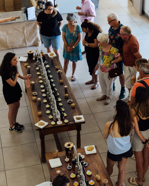 Discover olive growing at Bastide du Laval Olive grove and Bastide du Laval mill during the European Heritage Days