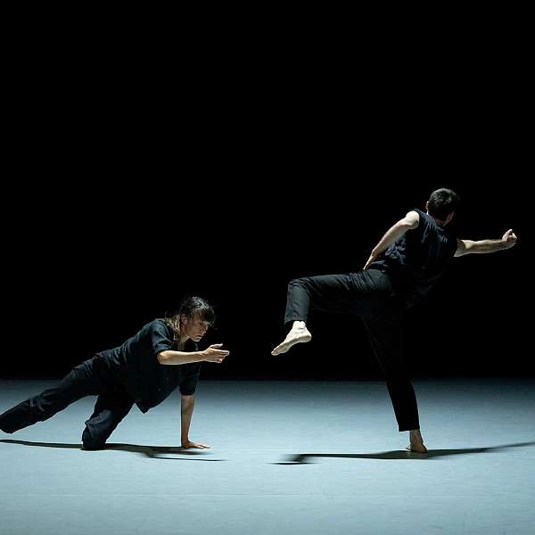 In the shadow of a vast detail, out of storm — Dance in Cavaillon