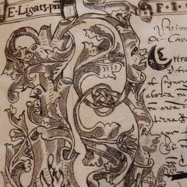 Archives Revealed! in Cavaillon