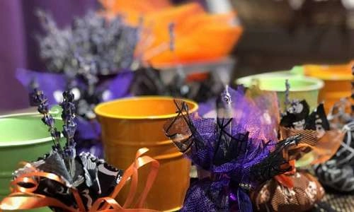 Halloween au Musée de la Lavande_Cabrières-d'Avignon