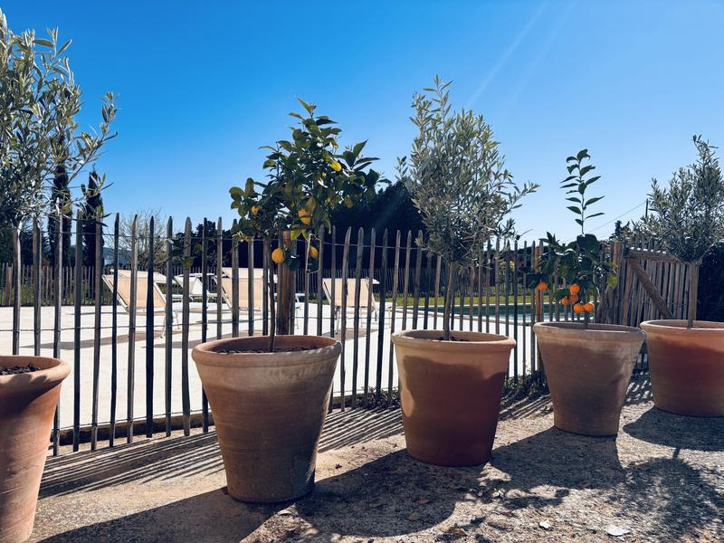 Tree-lined outdoor areas at Maison Poumo in L’Isle-sur-la-Sorgue
