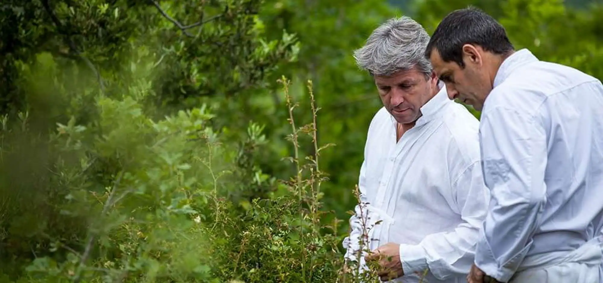 Edouard Loubet tells us about Provencal cuisine