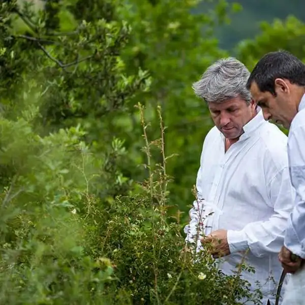 Edouard Loubet tells us about Provencal cuisine