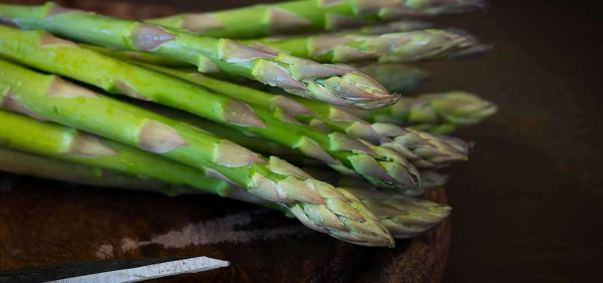 Green Asparagus: the Precious (Annunciator of the Good Days)