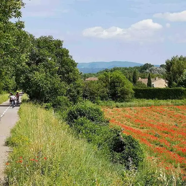 An outdoor experience! cycling in the Luberon!