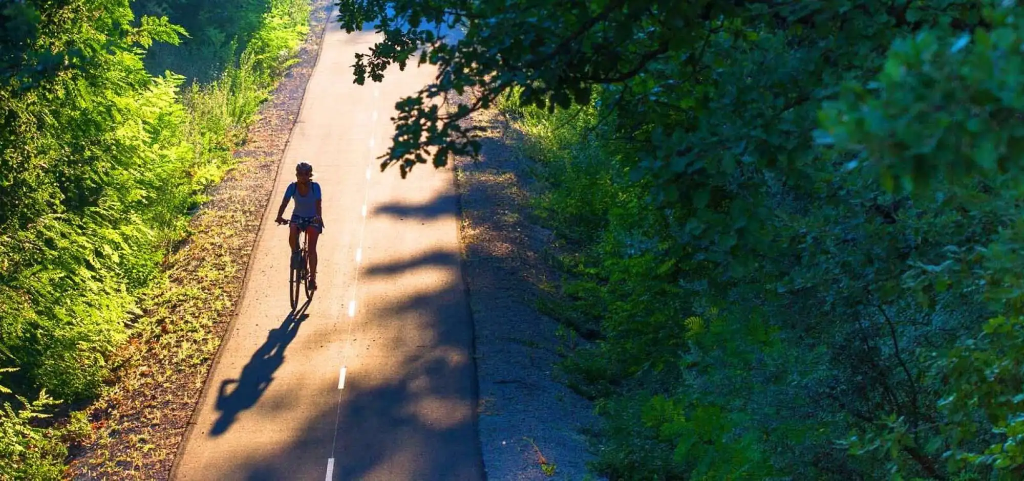 An outdoor experience! cycling in the Luberon!