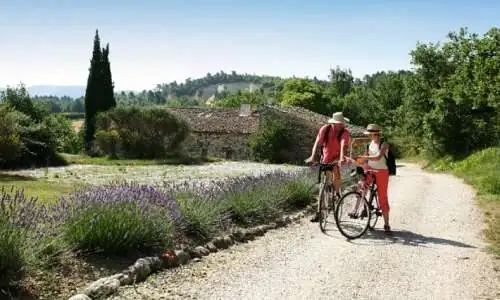 Vélo en Luberon