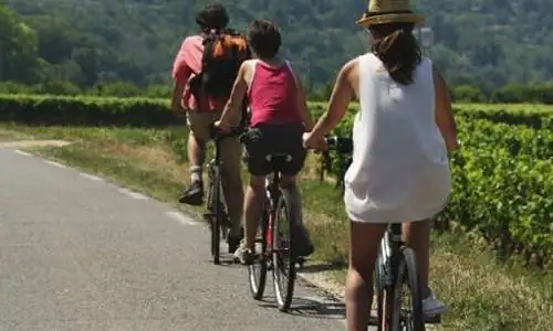 Vélo en Luberon