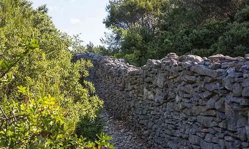 Mur de la Peste