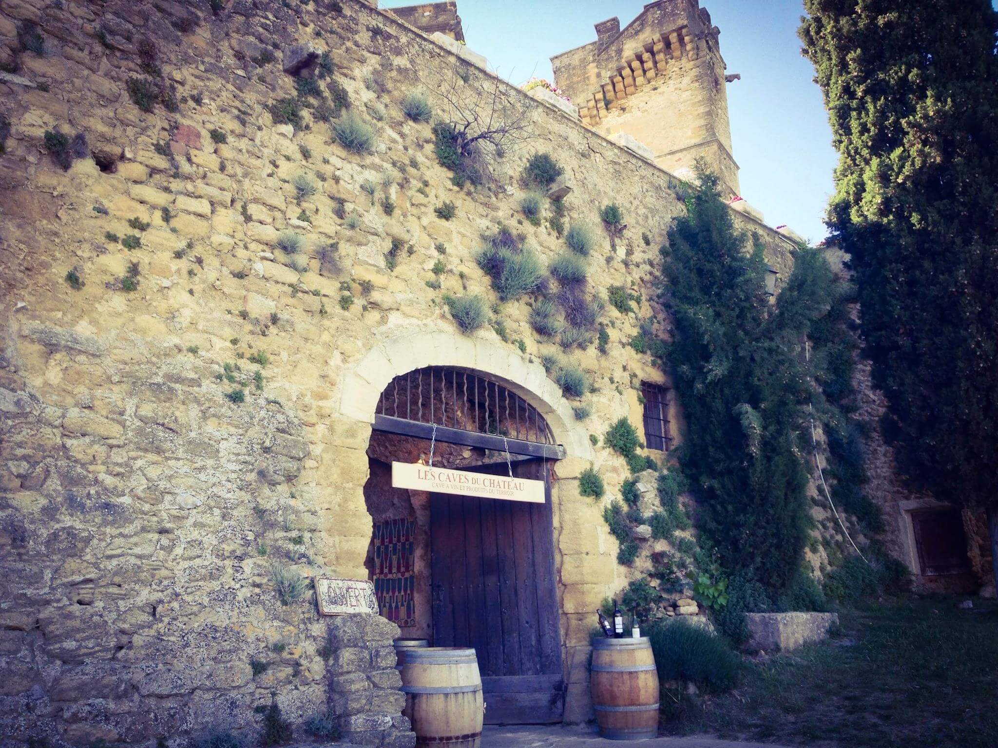 Castle cellars - Lourmarin