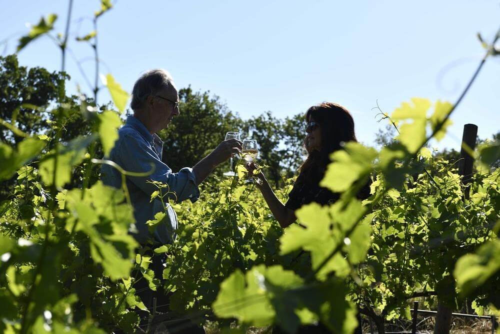 Domaine Marsaleix - Robion
