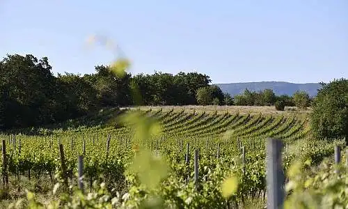 Domaine Marsaleix