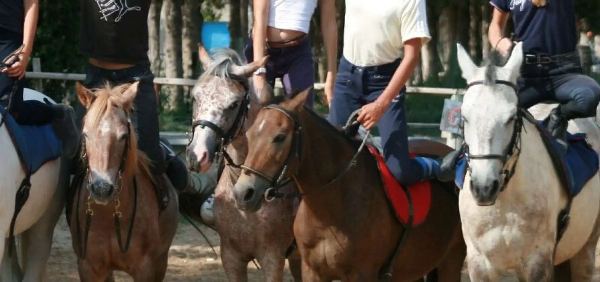 Le Haras de Lagnes