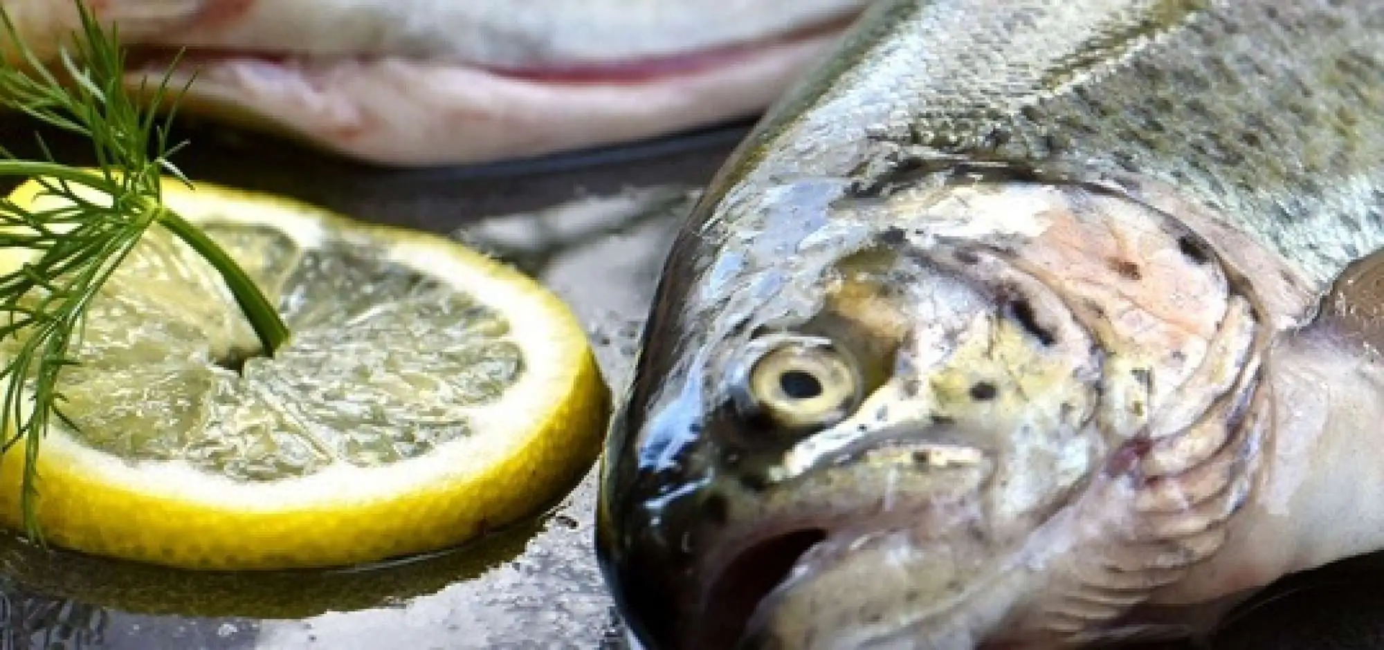 Trout marinated in citrus fruits, green asparagus from Isle sur la Sorgue, creamy garden tagette