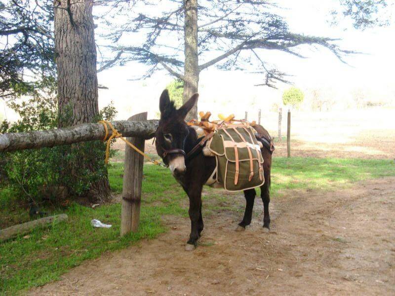 The ears of the Luberon - Maubec