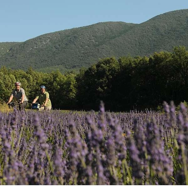 Around the Luberon by Bike