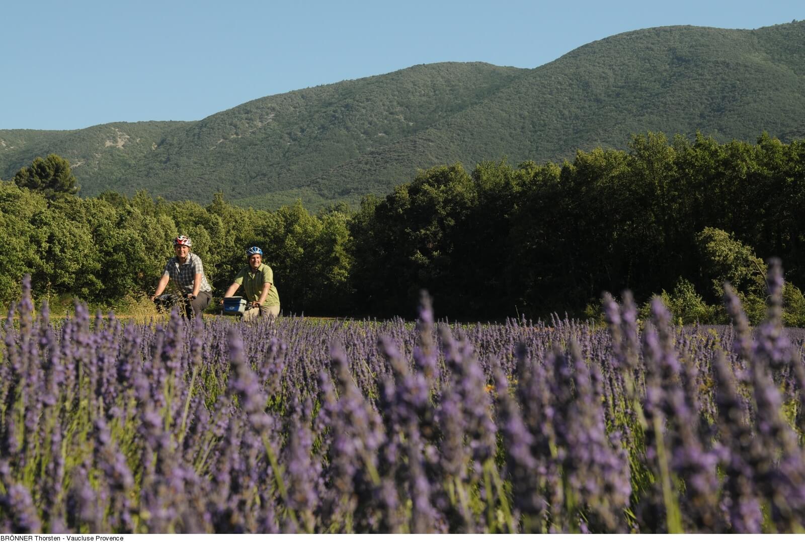 Around the Luberon by bike
