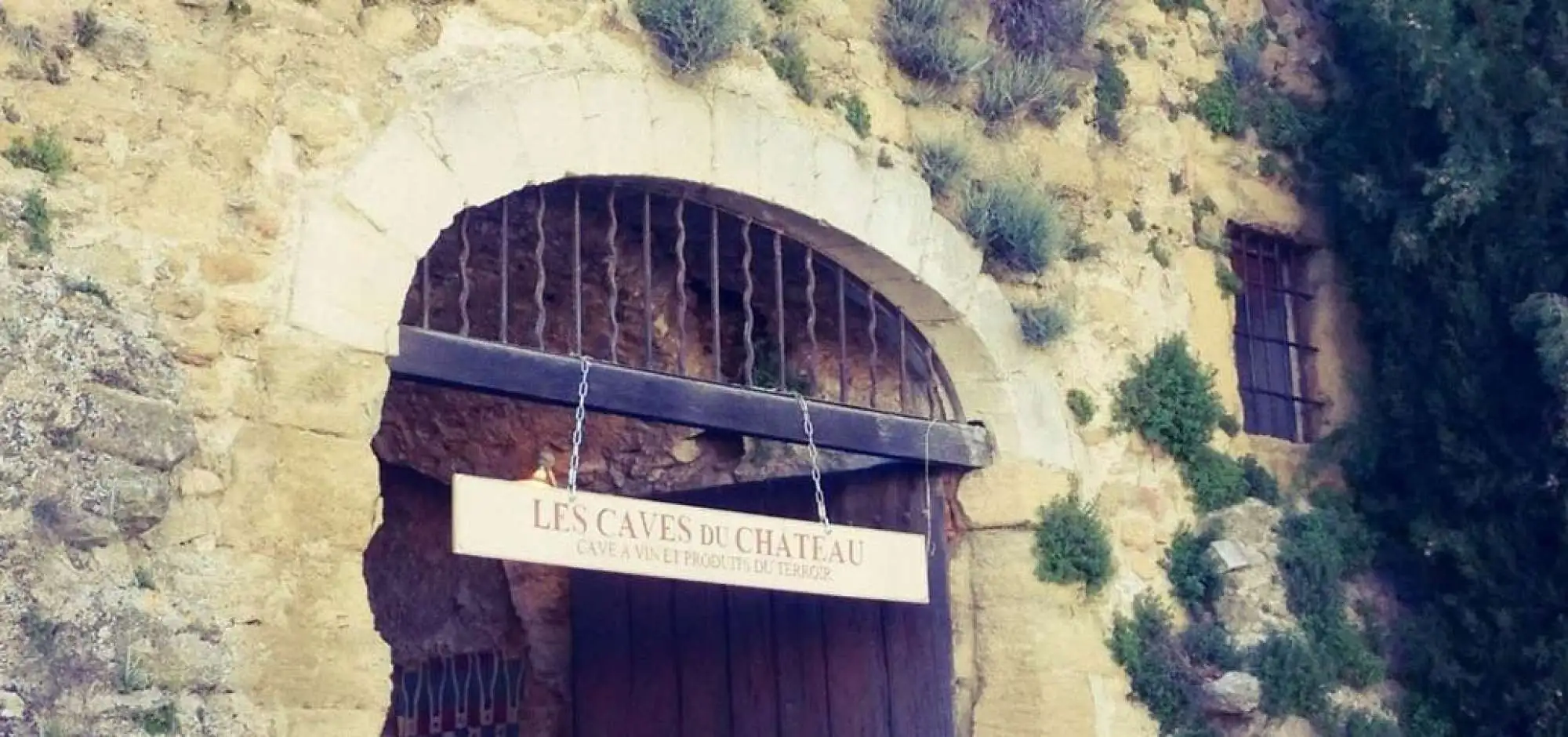 The cellars of the Castle