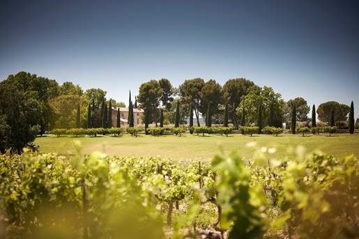 Wine tasting during Sunsets Vignerons Wine tasting and gourmet pairings during
