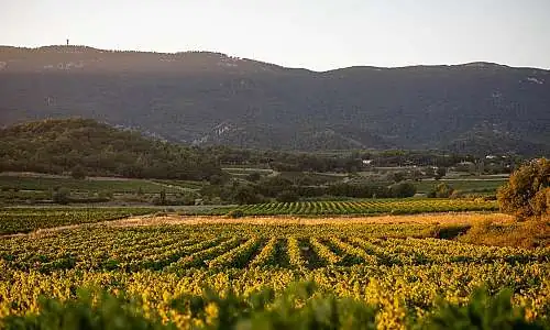 Photo 3 ©Vincent AGNES - AOC LUBERON.jpg