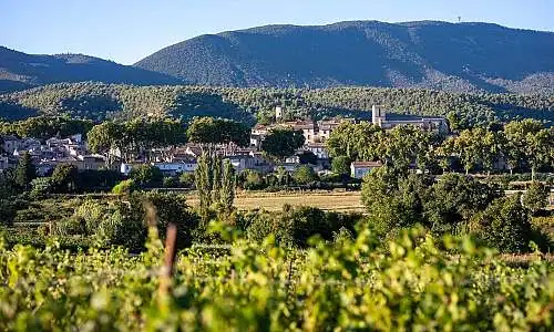 Photo 1 ©Vincent AGNES - AOC LUBERON.jpg