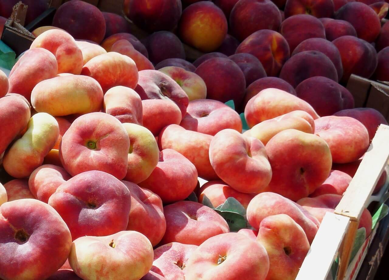 Roasted peach skewers – a delicious recipe from Luberon