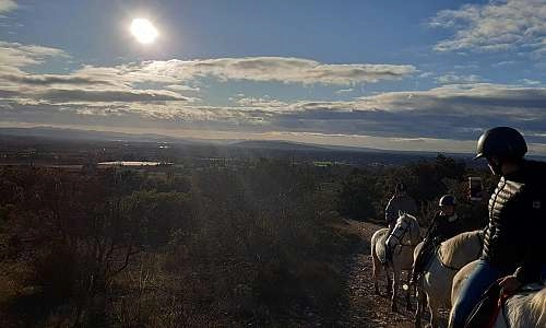 promenade avec le haras de lagnes