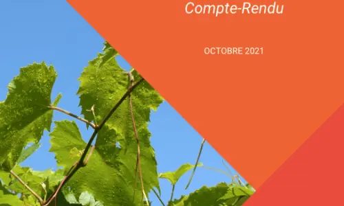 Bilan Sunsets 2021