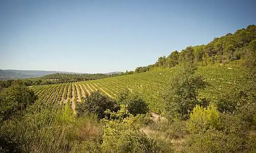 Val Joanis Pertuis