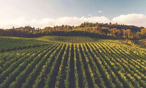 Bienvenue au château La Dorgonne