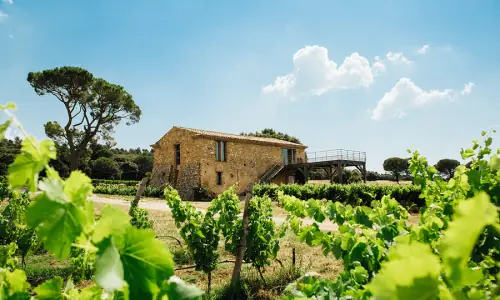Domaine Les Perpetus