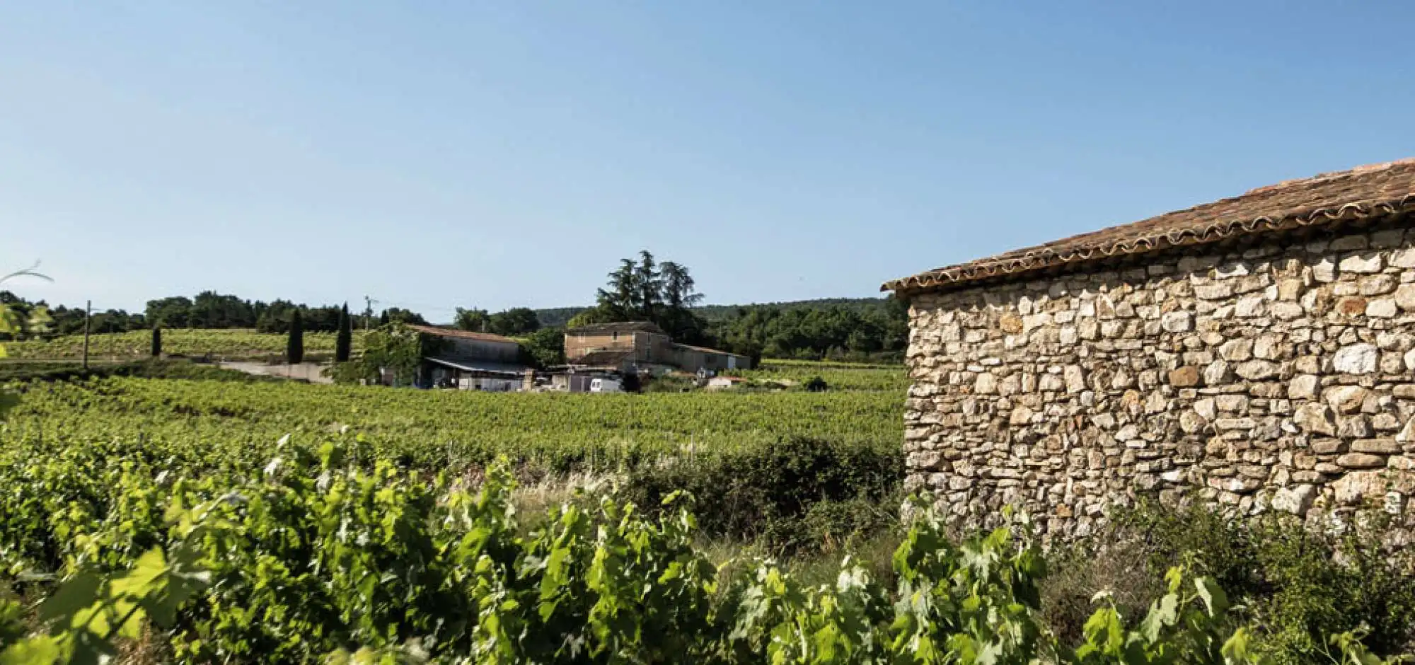 Domaine de Mayol