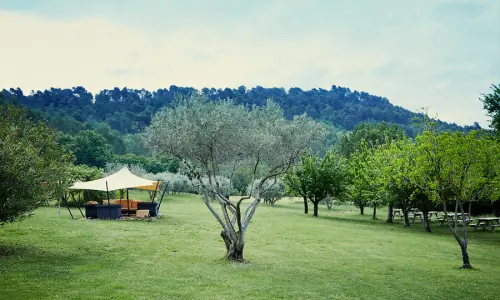 La Cour de Ferme
