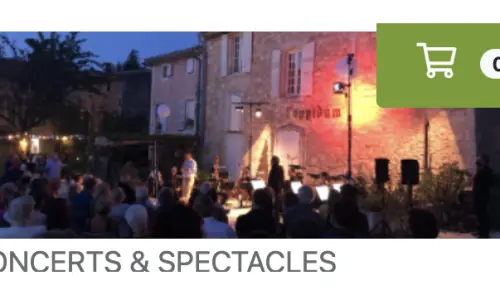 Boutique en ligne widget 