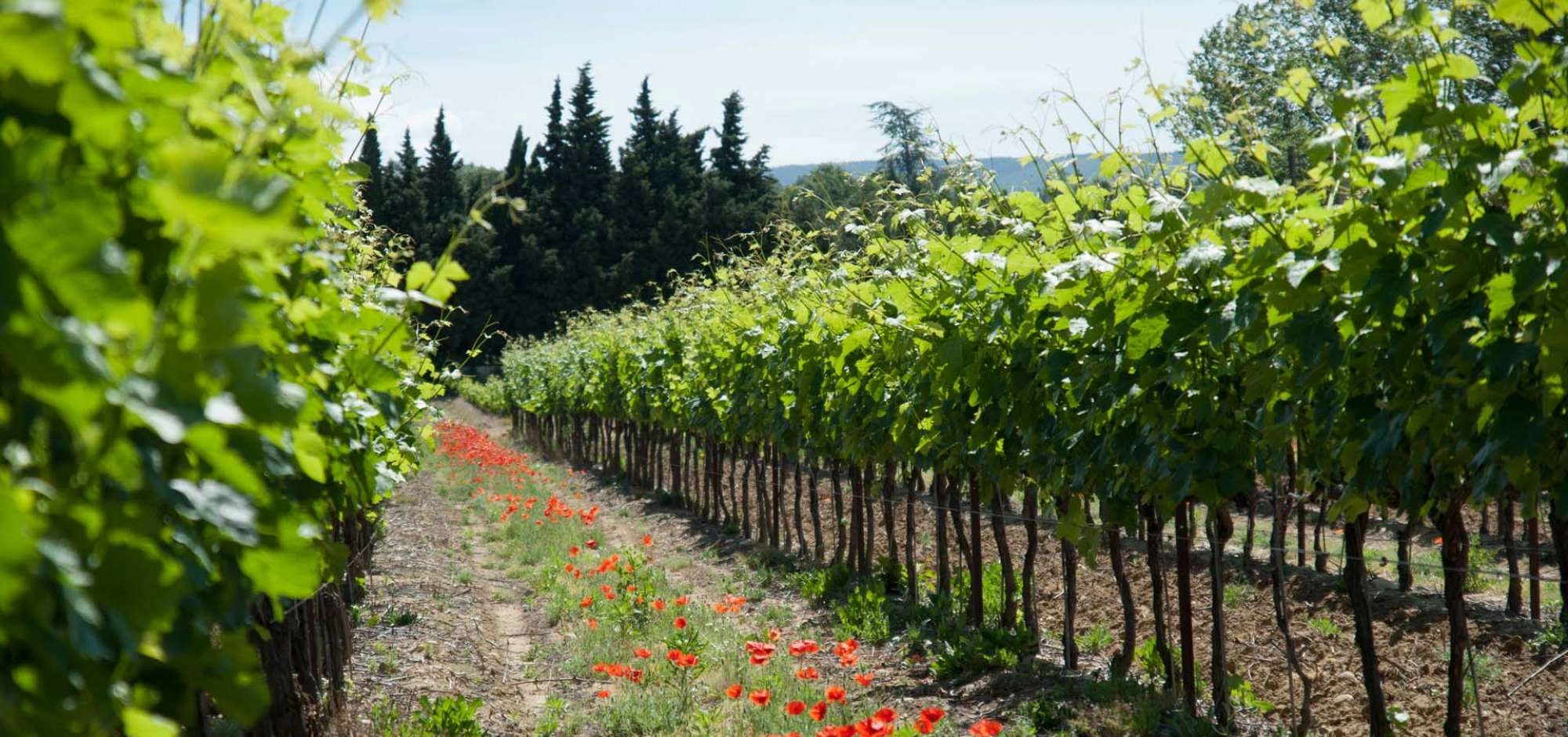 Domaine La Garelle