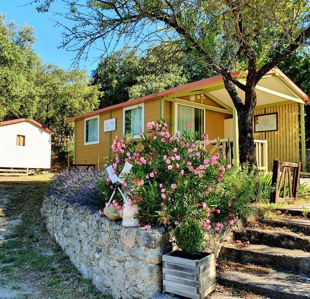 Chalet and nature at Camping Le Moulin à Vent Colourful and welcoming chalet at Camping Le Moulin à Vent, surrounded by greenery and flowers