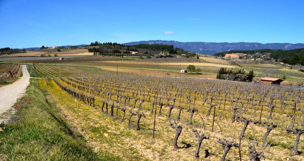 Domaine du Collet Vert - Pertuis