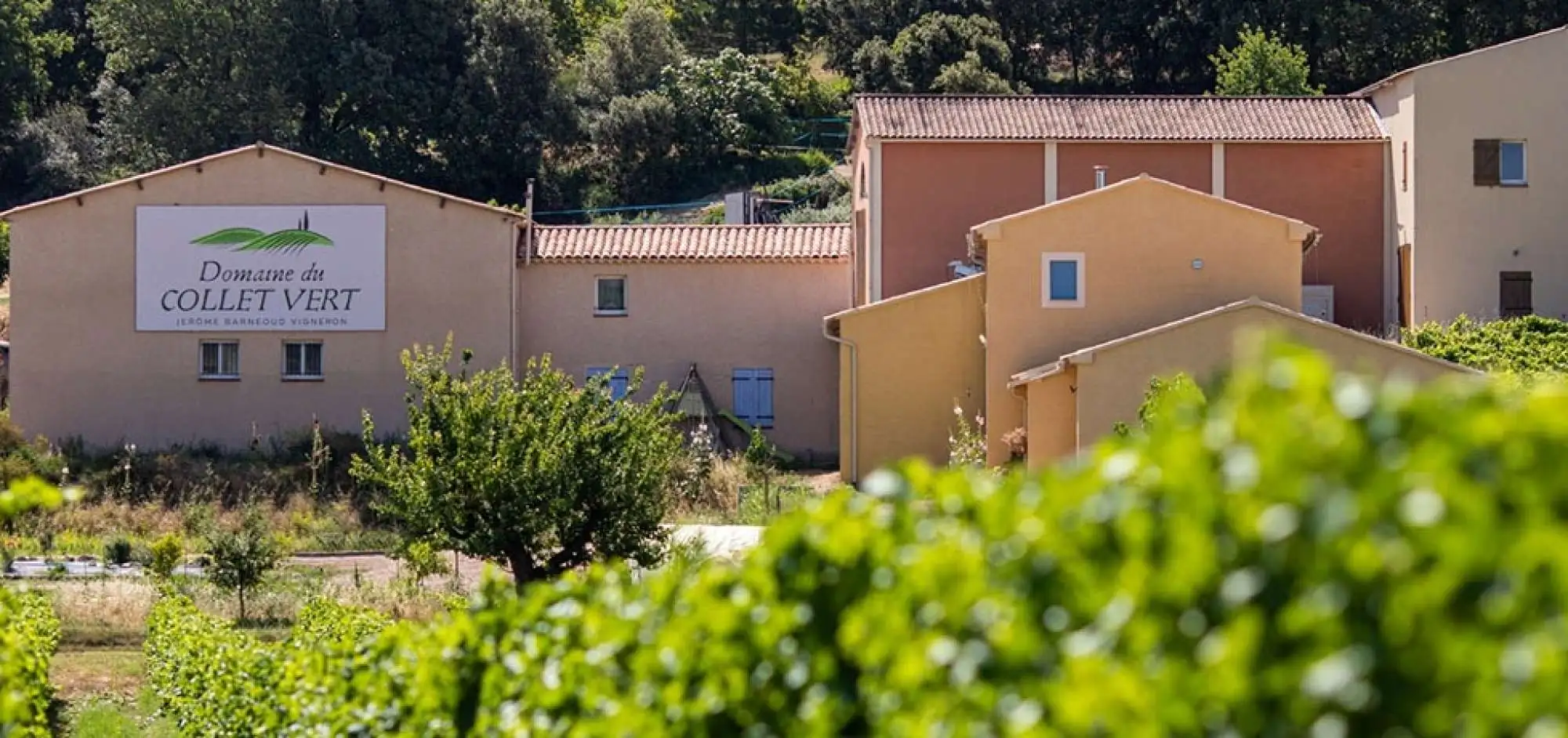 Domaine du Collet Vert