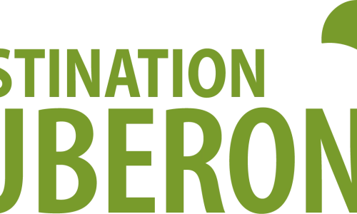 Logo vert Destination Luberon